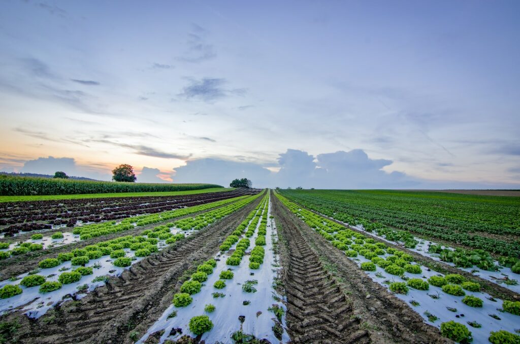 farm and crop insurance